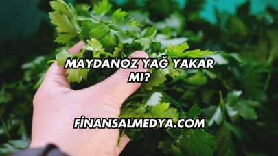 Maydanoz Yağ Yakar mı?