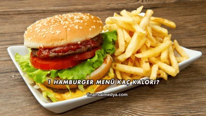 1 Hamburger Menü Kaç Kalori?