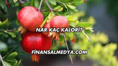 Nar Kaç Kalori?
