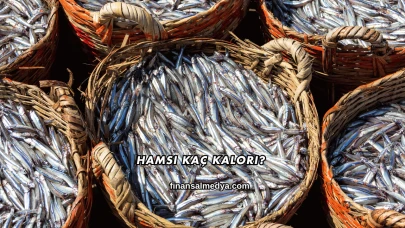 Hamsi Kaç Kalori?