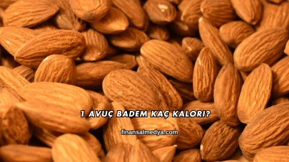 1 Avuç Badem Kaç Kalori?