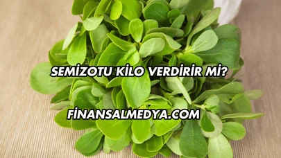 Semizotu Kilo Verdirir mi?