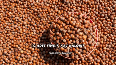 10 Adet Fındık Kaç Kalori?