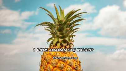 1 Dilim Ananas Kaç Kalori?