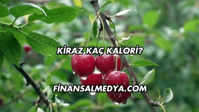 Kiraz Kaç Kalori?