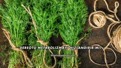 Dereotu Metabolizmayı Hızlandırır mı?