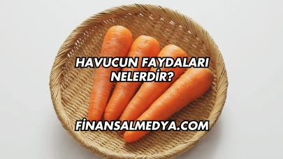 Havucun Faydaları Nelerdir?