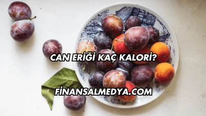 Can Eriği Kaç Kalori?
