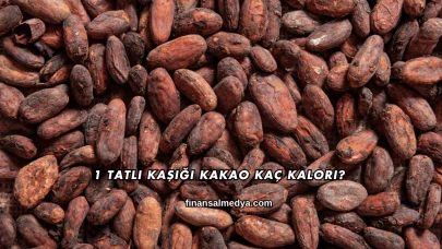 1 Tatlı Kaşığı Kakao Kaç Kalori?