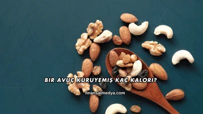 Bir Avuç Kuruyemiş Kaç Kalori?