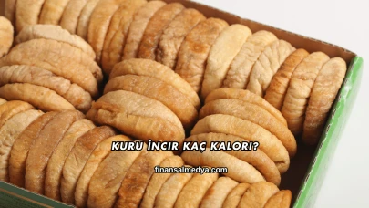 Kuru İncir Kaç Kalori?
