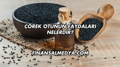 Çörek Otunun Faydaları Nelerdir?