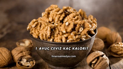 1 Avuç Ceviz Kaç Kalori?