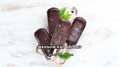Magnum Kaç Kalori?