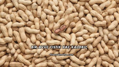 Bir Avuç Fıstık Kaç Kalori?