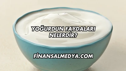 Yoğurdun Faydaları Nelerdir?