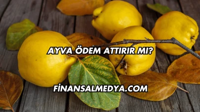 Ayva Ödem Attırır mı?
