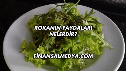 Rokanın Faydaları Nelerdir?