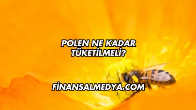 Polen Ne Kadar Tüketilmeli?