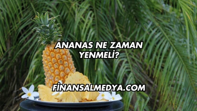 Ananas Ne Zaman Yenmeli?