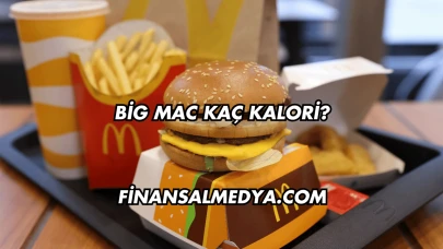 Big Mac Kaç Kalori?