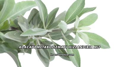 Adaçayı Metabolizmayı Hızlandırır mı?