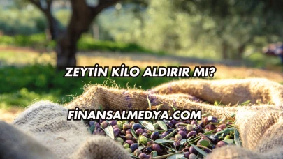 Zeytin Kilo Aldırır mı?
