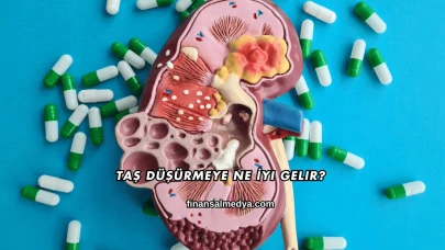 Taş Düşürmeye Ne İyi Gelir?