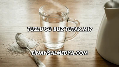 Tuzlu Su Buz Tutar mı?