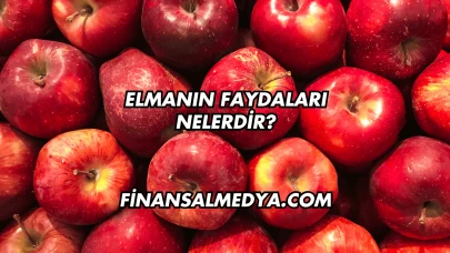 Elmanın Faydaları Nelerdir?