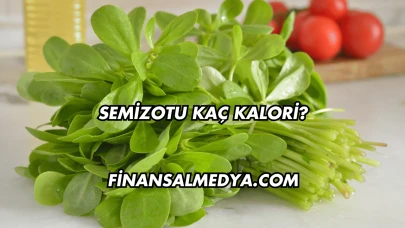 Semizotu Kaç Kalori?