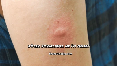 Böcek Sokmasına Ne İyi Gelir?
