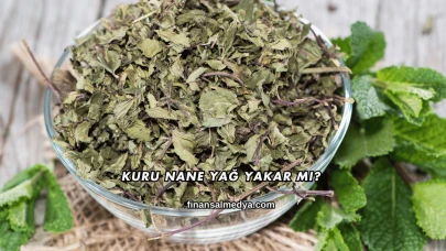 Kuru Nane Yağ Yakar mı?