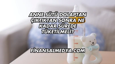 Anne Sütü Dolaptan Çıktıktan Sonra Ne Kadar Sürede Tüketilmeli?