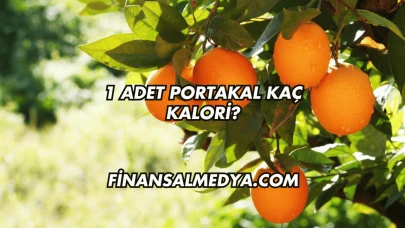 1 Adet Portakal Kaç Kalori?