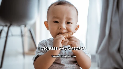 1 Cicibebe Kaç Kalori?