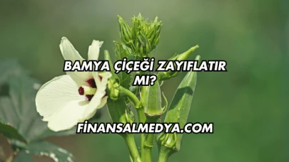 Bamya Çiçeği Zayıflatır mı?