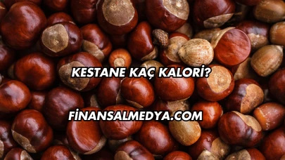 Kestane Kaç Kalori?