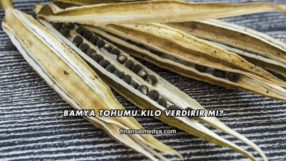 Bamya Tohumu Kilo Verdirir mi?
