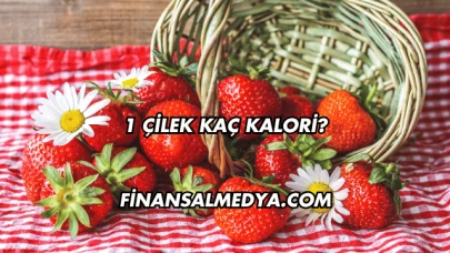 1 Çilek Kaç Kalori?