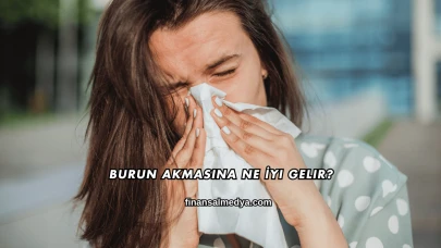 Burun Akmasına Ne İyi Gelir?