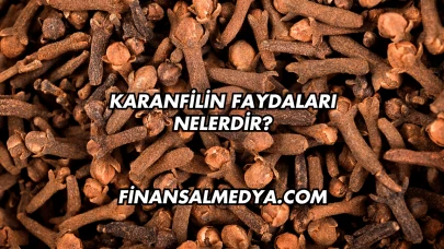 Karanfilin Faydaları Nelerdir?
