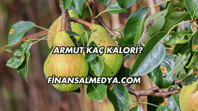 Armut Kaç Kalori?