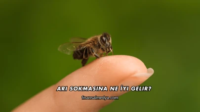 Arı Sokmasına Ne İyi Gelir?