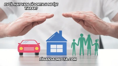 Evcil Hayvan Sigortası Ne İşe Yarar?
