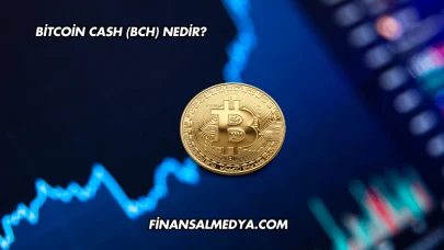 Bitcoin Cash (BCH) Nedir?