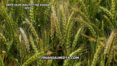 Arpa Ekim Maliyeti Ne Kadar 2025