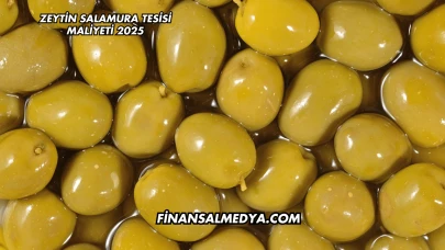 Zeytin Salamura Tesisi Maliyeti 2025