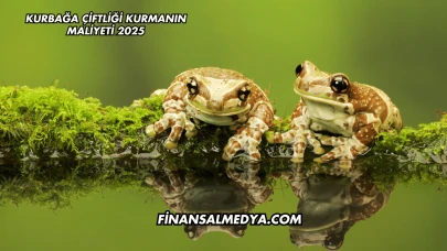 Kurbağa Çiftliği Kurmanın Maliyeti 2025