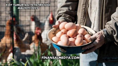 Köy Yumurtası Yetiştiriciliği Maliyeti 2025